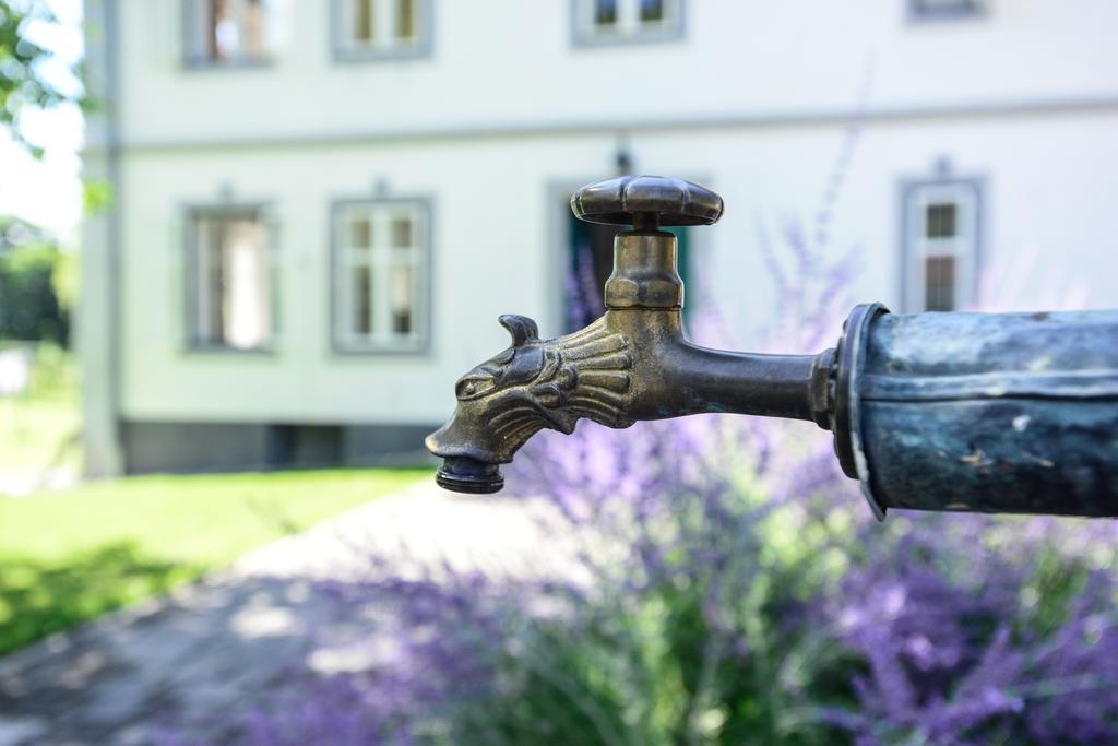 Ferienwohntraum Haller Nötsch エクステリア 写真